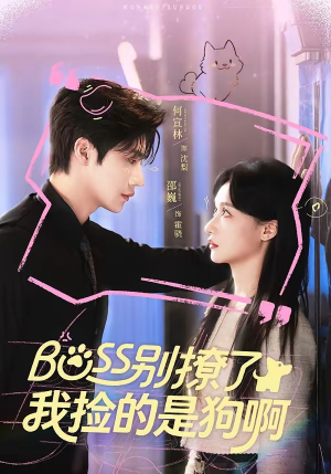 Boss别撩了，我捡的是狗呀（65集）抢先看新短剧