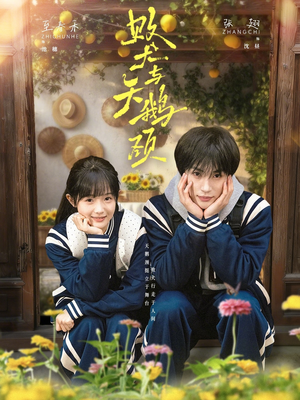 败犬与天鹅颈（71集）大结局完美收官