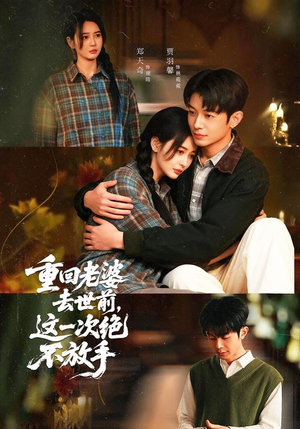 重回老婆去世前，这一次绝不放手（80集）免费版