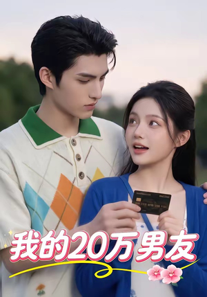 我的20万男友（30集）短剧追不停