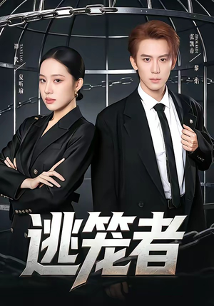 逃笼者（71集）经典老剧免费看