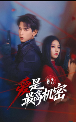爱是最高机密（25集）短剧小说在线看