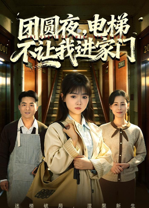 团圆夜，电梯不让我进家门（52集）剧情简介