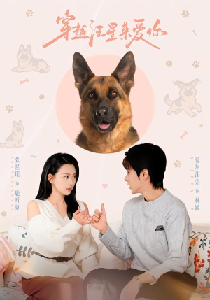 穿越汪星来爱你（62集）一口气追完全集