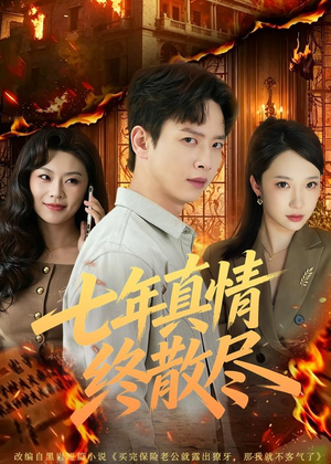 七年真情终散尽（60集）评价怎么样