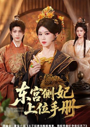 东宫侧妃上位手册（61集）看过的人都说好