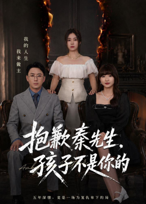 抱歉秦先生，孩子不是你的（53集）集免费看短剧