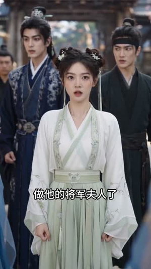 双钗错（40集）经典老剧免费看