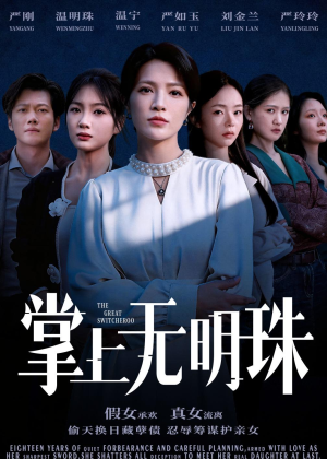 掌上无明珠（72集）剧情简介