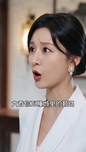 厨神从乡下来（48集）流畅播放免费看