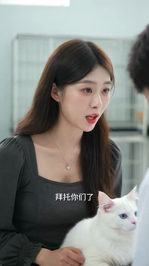 爱的距离(72集) 爱的距离(72集)怎么看全集