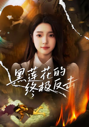 黑莲花的终极反击（60集）剧情简介