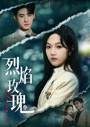烈焰玫瑰（37集）免费短剧全集看