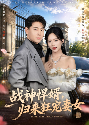 战神悍婿，归来狂宠妻女（83集）全部免费看全集