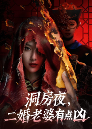 洞房夜，二婚老婆有点凶（66集）追风的女孩短剧