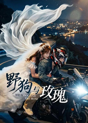 野狗与玫瑰(30集) 野狗与玫瑰(30集)短剧免费看全集