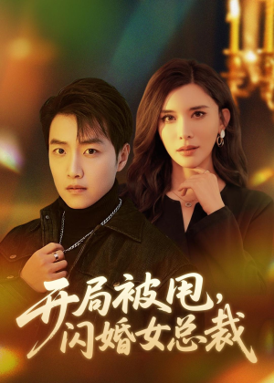 开局被甩,闪婚女总裁(80集) 开局被甩,闪婚女总裁(80集)精彩好看短剧