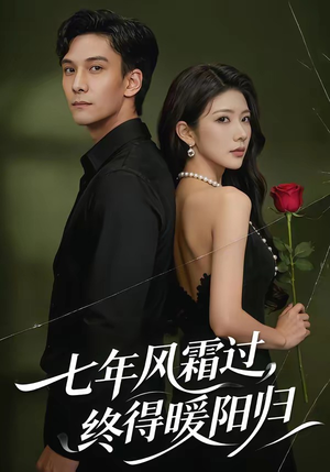 七年风霜过，终得暖阳归（60集）演的怎么样