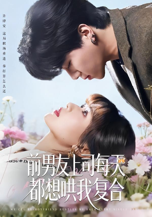 前男友上司每天都想哄我复合（77集）在线看到大结局