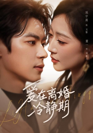 爱在离婚冷静期（73集）亿万短剧抢先看