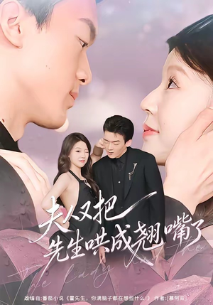 夫人又把先生哄成翘嘴了 60集 丁铭＆陈俊如