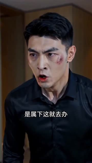 护母踏平风云（55集）评价怎么样