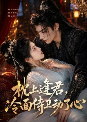 枕上逢君，冷面侍卫动了心（92集）精彩短剧分享