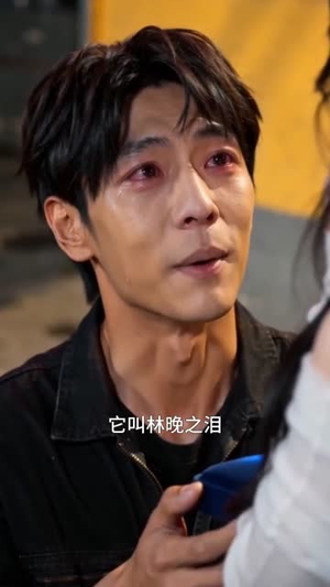 璀璨星辰（40集）经典老剧免费看