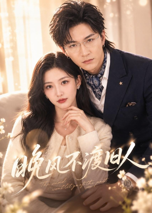 晚风不渡旧人（34集）全季一次看完