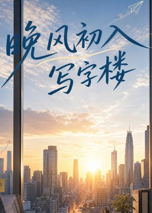 晚风初入写字楼第一部(20集) 晚风初入写字楼第一部(20集)最后一集