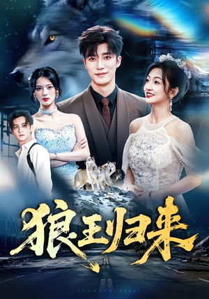 狼王归来（51集）追短剧看全集