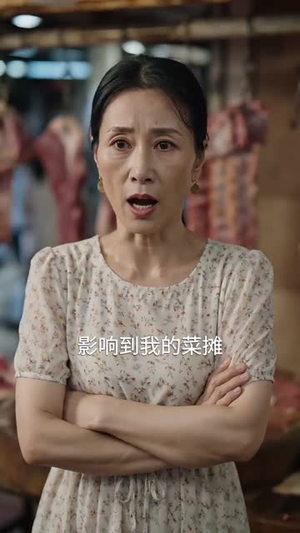 天上掉下来个林先生(50集) 天上掉下来个林先生(50集)我真的爱了