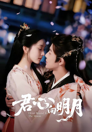 君心向明月（60集）直接追到结尾