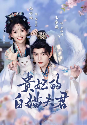 贵妃的白猫夫君(81集) 贵妃的白猫夫君(81集)短剧完整版免费