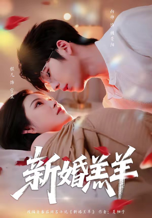 新婚羔羊(89集) 新婚羔羊(89集)热门短剧排行榜