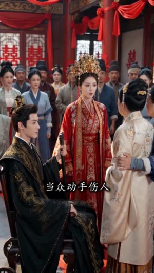 王妃披甲平天下（74集）完整版免费观看