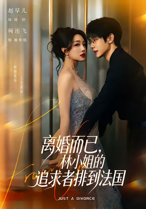 离婚而已,林小姐的追求者排到法国(79集) 离婚而已,林小姐的追求者排到法国(79集)全网独播免费看