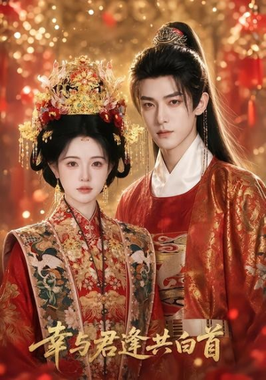 幸与君逢共白首（79集）热门爆款短剧