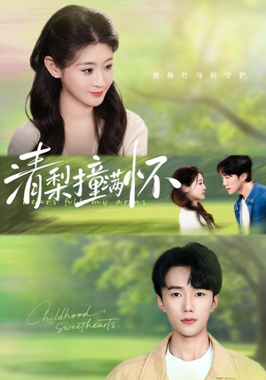 清梨撞满怀(77集) 清梨撞满怀(77集)短剧介绍