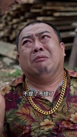木匠铺藏潜龙(33集) 木匠铺藏潜龙(33集)短剧推荐上热门