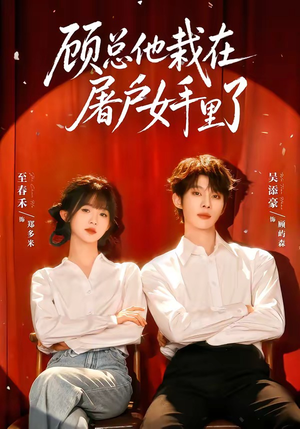顾总他栽在屠户女手里了（62集）评价怎么样