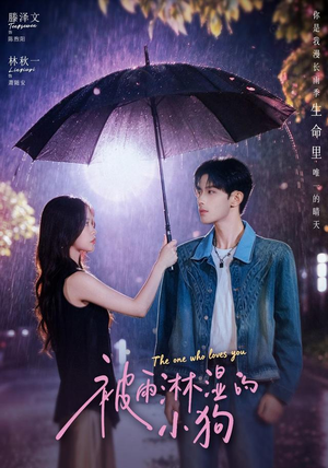 被雨淋湿的小狗(80集) 被雨淋湿的小狗(80集)1-102集