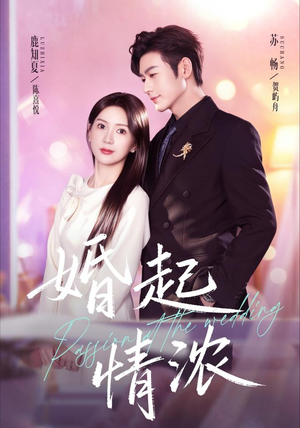 婚起情浓（99集）热门短剧又来了