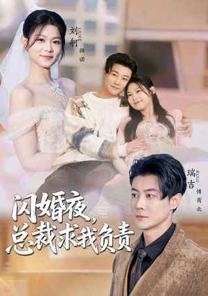 闪婚夜，总裁求我负责（80集）番茄短剧免费看