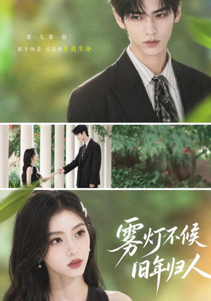 雾灯不候旧年归人（50集）短剧热播中