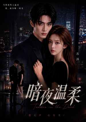暗夜温柔(25集) 暗夜温柔(25集)好看上头的短剧