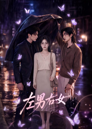 左男右女（63集）热门短剧追不停