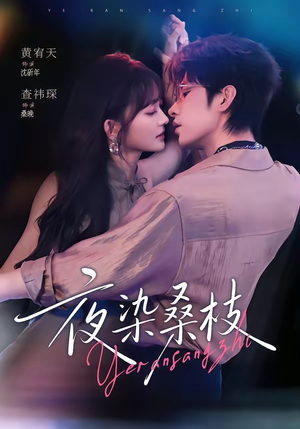 夜染桑枝（73集）高清无码免费看
