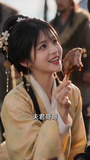 塞上歌行之漠北凰归（55集）真的好看吗