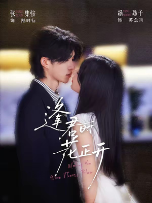 逢君时花正开（72集）短剧在哪里看